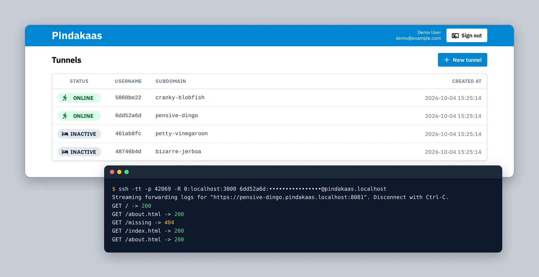 The Pindakaas tunnel list with two tunnels online and two inactive, and a terminal running the SSH command for one tunnel, which streams the forwarded requests with their HTTP status codes. Demo data.